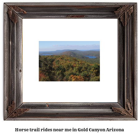 horse trail rides near me in Gold Canyon, Arizona